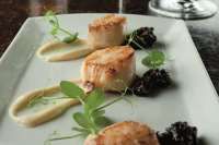 ely winebar